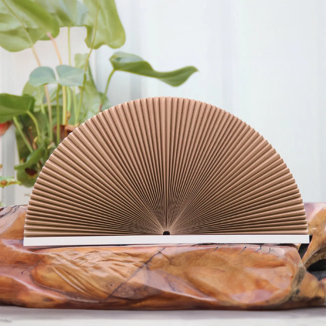 Easy to Clean and Take Care of New Motorized Honeycomb Blinds