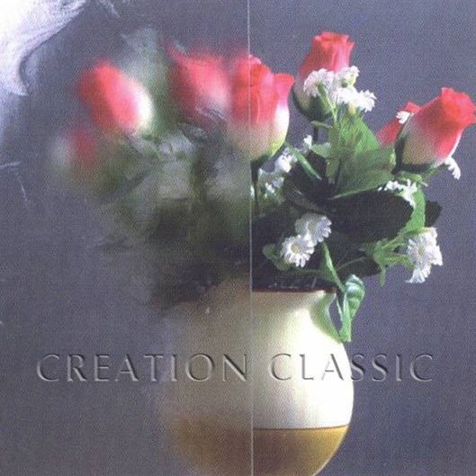 Tempered 4-12mm Patterned Glass with High Quality