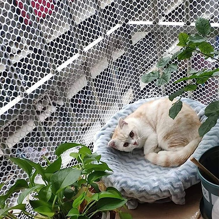 High Density Polyethylene HDPE Plastic Extruded Flat Net Screen Chicken Rigid PP Flat Netting Mesh Rolls Safety Fence