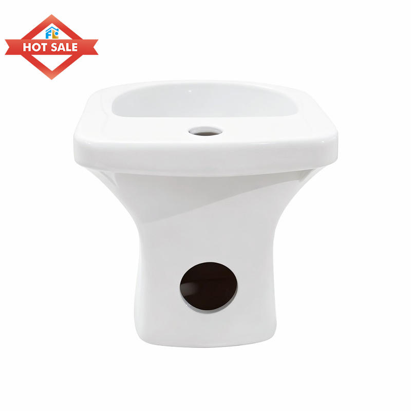 Fluor 2025 Modern Women's Ceramic Bidet Economical Vertical Spray for Easy Cleaning in Bathroom