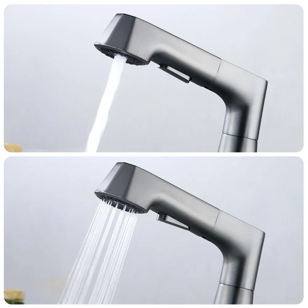 Sanitary Ware Single Handle Bathroom Hot and Cold Pull-out Faucet Taps for Basin