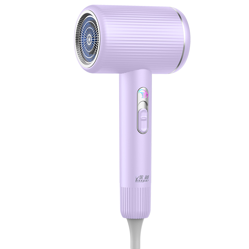 Professional Household Electric Hair Dryer with Nozzle Hairdryer
