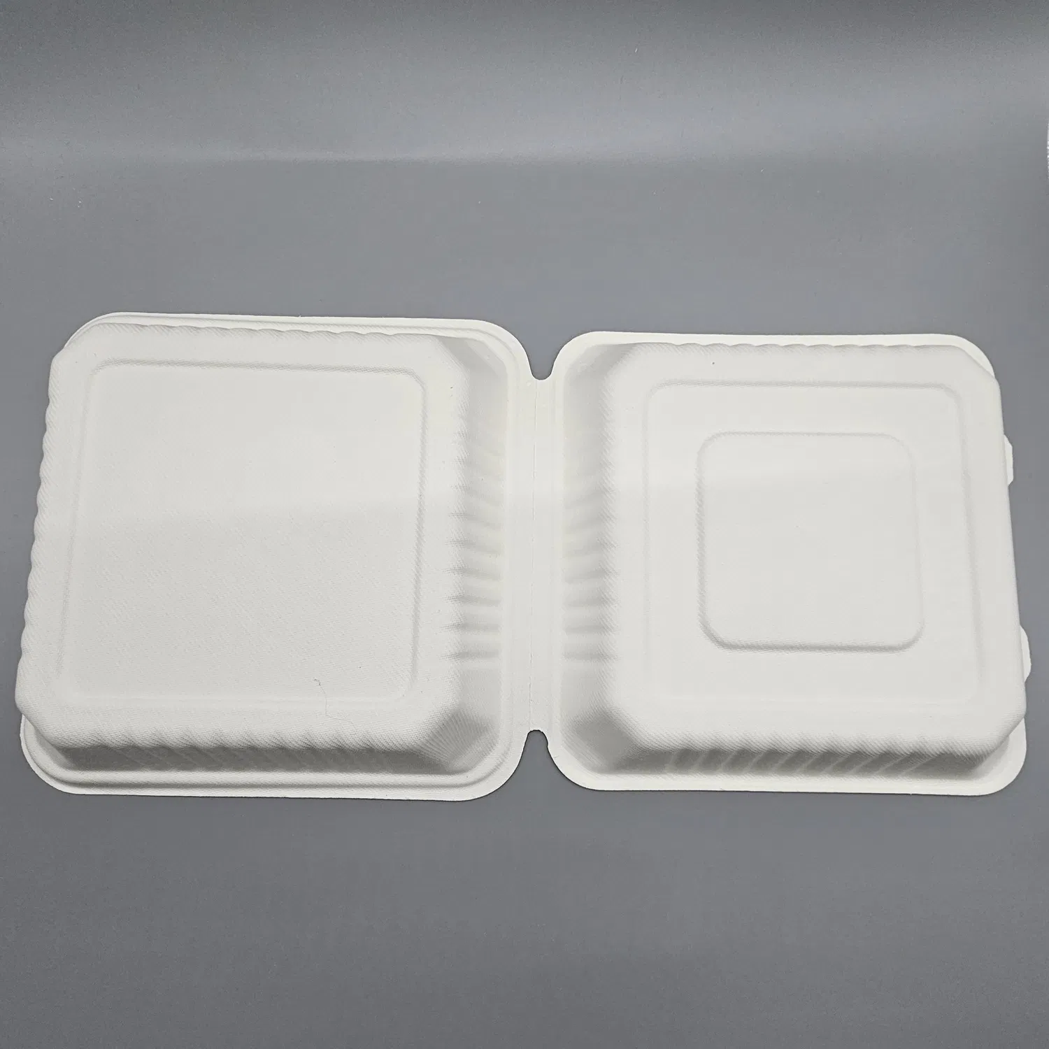 9 Inch Disposable Biodegradable Sugarcane Bagasse Tableware School Clamshell Food Lunch Box