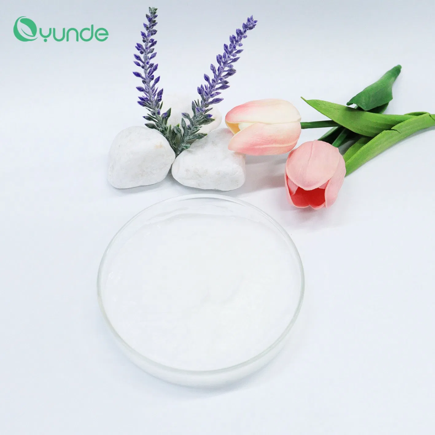 Plant Extract Ingredients, Black Truffle Moisturizing Conditioner