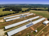 Complete Automatic Type Medium Scale 10000 Broilers House Prefabricated Poultry Shed Insulated Chicken Coop Poultry House/Chicken Pen