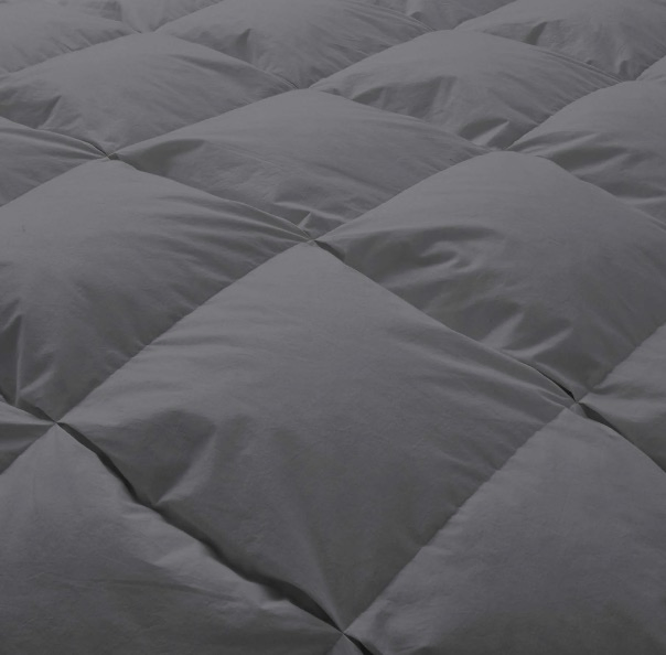 Goose Feather and Down All Seasons Comforter with 100% Cotton Cover