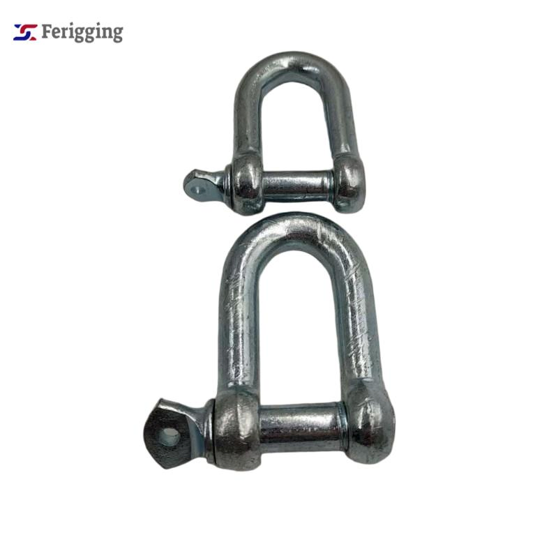 Wholesale D Shackle Galvanized Steel Bow Shackle with Screw Pin