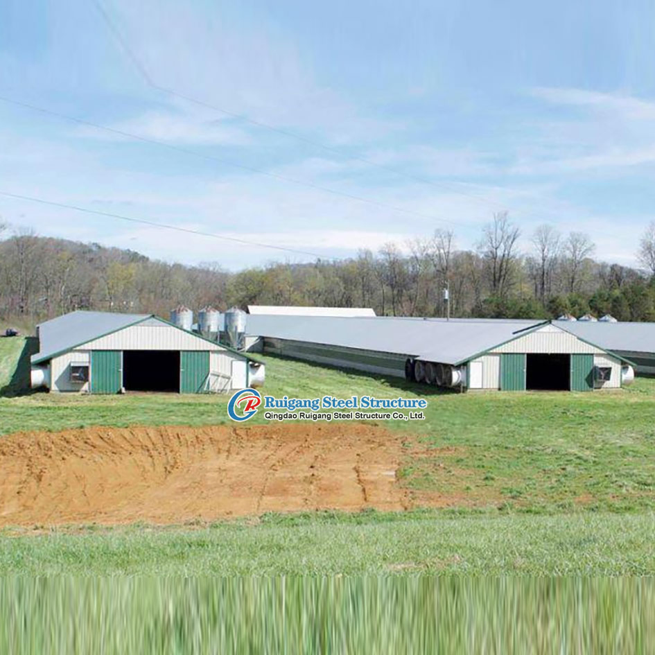 Well Designed Broiler Breeder Layer Chicken Use Poultry Farm Construction Design