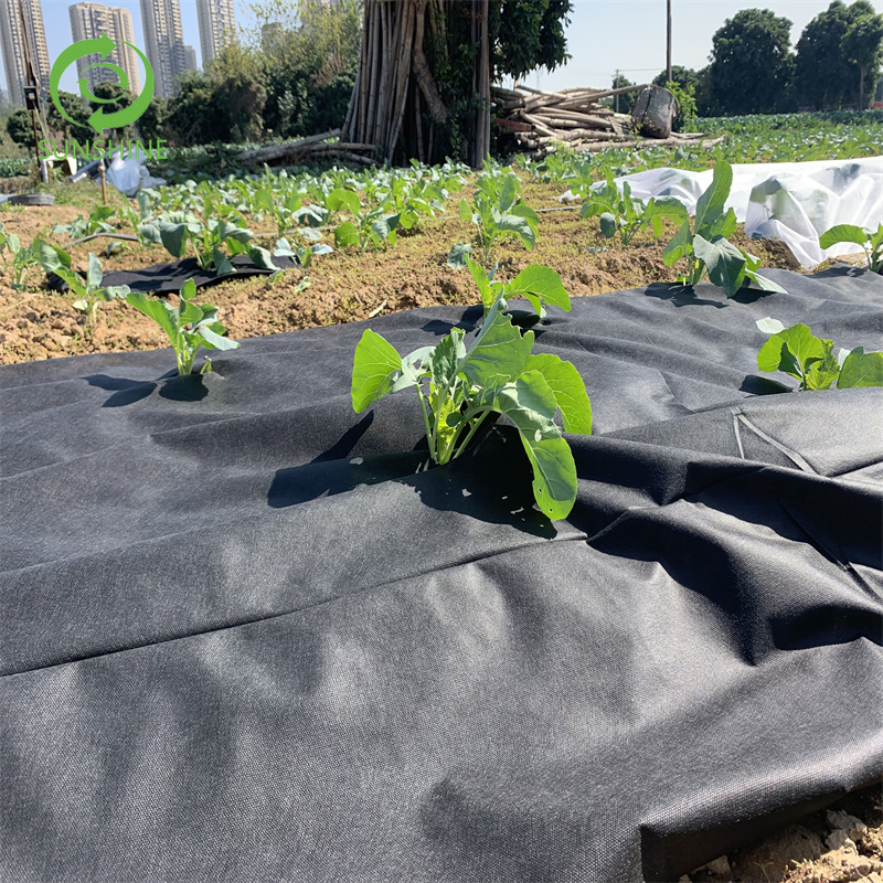 Best Quality Anti-UV Weed Control PP Non-Woven Fabric/Garden Landscaping/Landscape Nonwoven Fabric for Agriculture Cover
