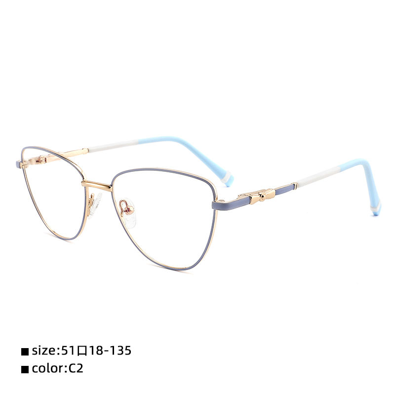 Ew Metal Teens Eyeglasses Fashion Design Optical Frame High Quality Coating Optics Glasses