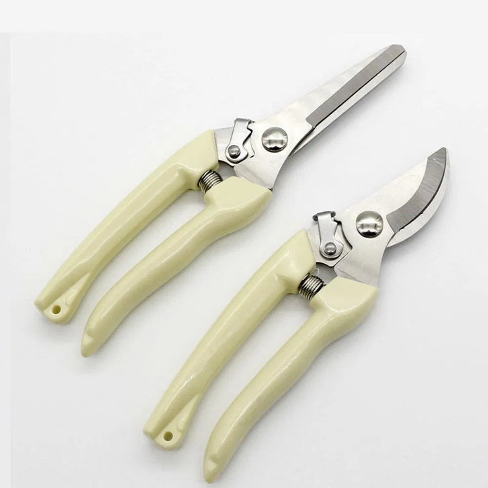 High-Quality Folding Pruning Saw for Gardening, Camping, Trees, and Branches Wyz19613