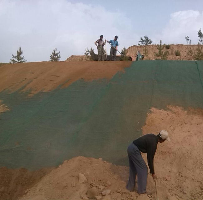 Factory Three-Dimension 3D HDPE Geomat for Construction and Slope Protection