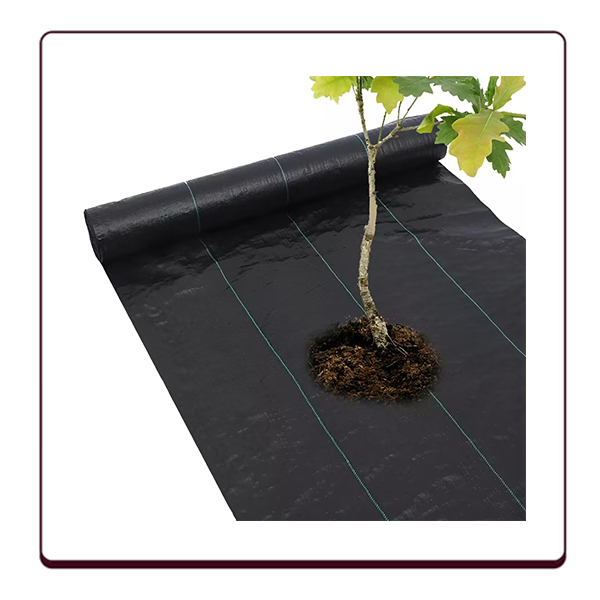Агроткань черная перфорированная для защиты от сорняков