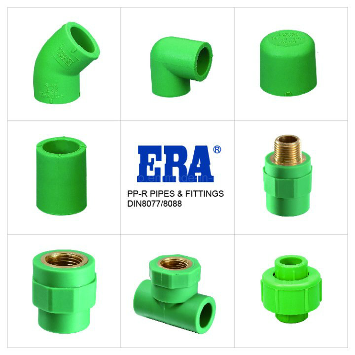 Era Piping System PPR Pipe Fitting Testing Cap (ABS MATERIAL)