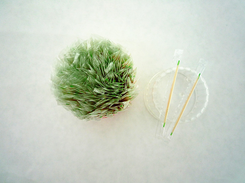 Custom Logo Printing Cocktail Toothpick Flag Biodegradable