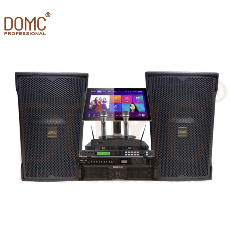 Domc K215 PRO 15-Inch Speaker - Perfect for Live Performances