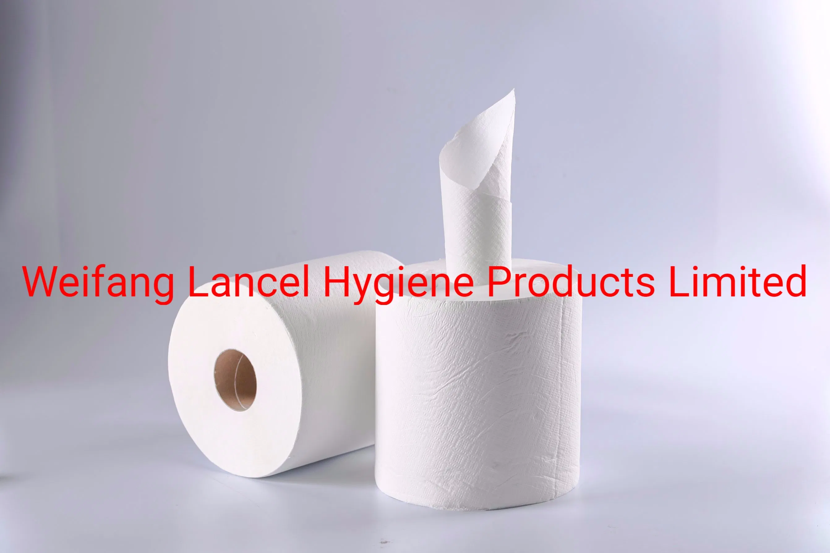 1 or 2 Ply Hand Towel Paper/Embossed Towel Paper/Towel Paper Roll/Tissue Paper in Roll/Kitchen Paper Roll