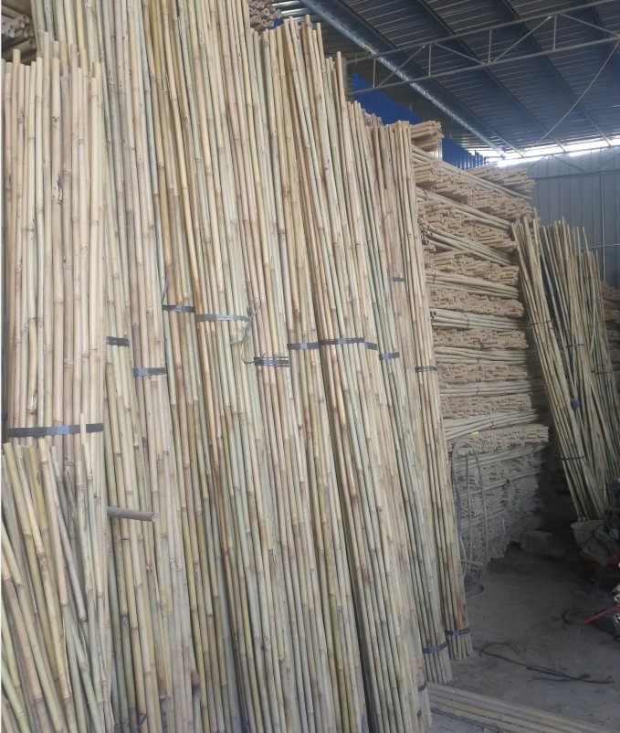 Bamboo Pole/ Strips /Support / Body