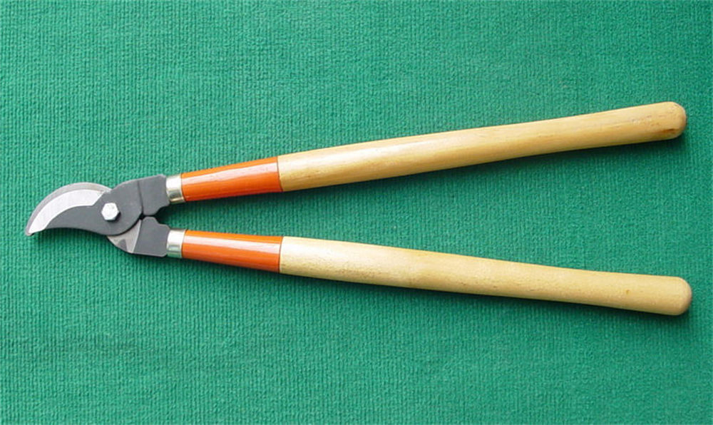 High Quality Lopper Shear for Garden