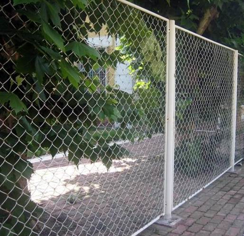 Color Powder Coating Galvanized Iron 868 / 656 Double Wire Fence Panel/Corrosion Resistant Garden Fence/2D Twin Bar Wire Welded Mesh Panel/Double Wire Fence