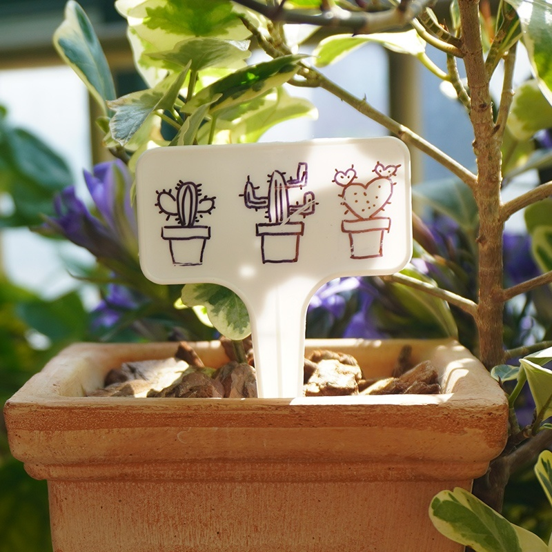 Eco Friendly Plastic Plant Tags Lightweight Garden Markers for Seedling Herb Labeling