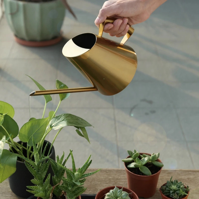 Stainless Steel Watering Pot Gardening Potted Small Watering Can Use Handle Perfect for Watering Flower Plants Shower for Garden
