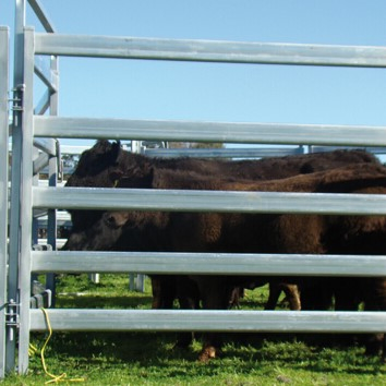 High Quality & Low Price Steel Farm Fence Corral Cattle Fence Panels