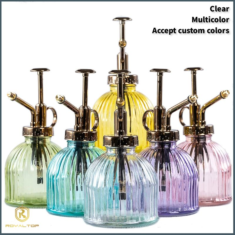 Small Glass Watering Can 200ml Spray Bottle Glass Plant Mister with Plastic Top Pump for Indoor Potted Plants