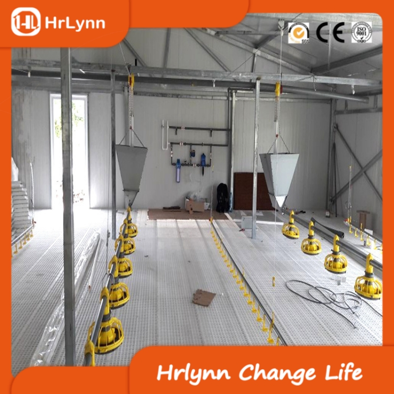 Free-Range Chicken House with Steel Structure