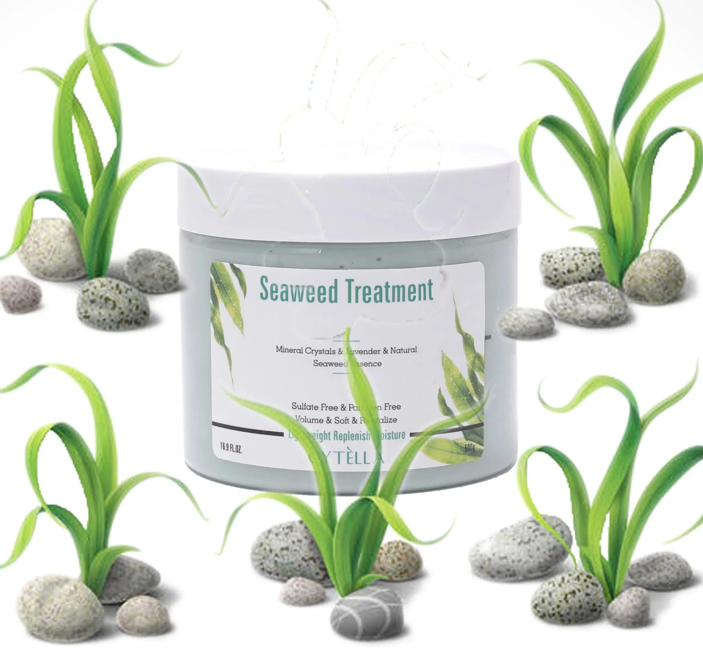 New Launched Fresh Anti-Dandruff Seaweed Conditioner