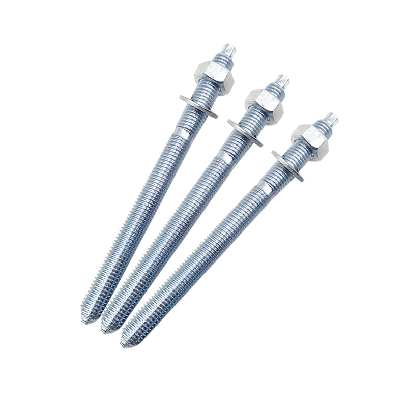 High Tensile Stainless Steel 304 316 Chemical Anchor Bolt for Building Construction