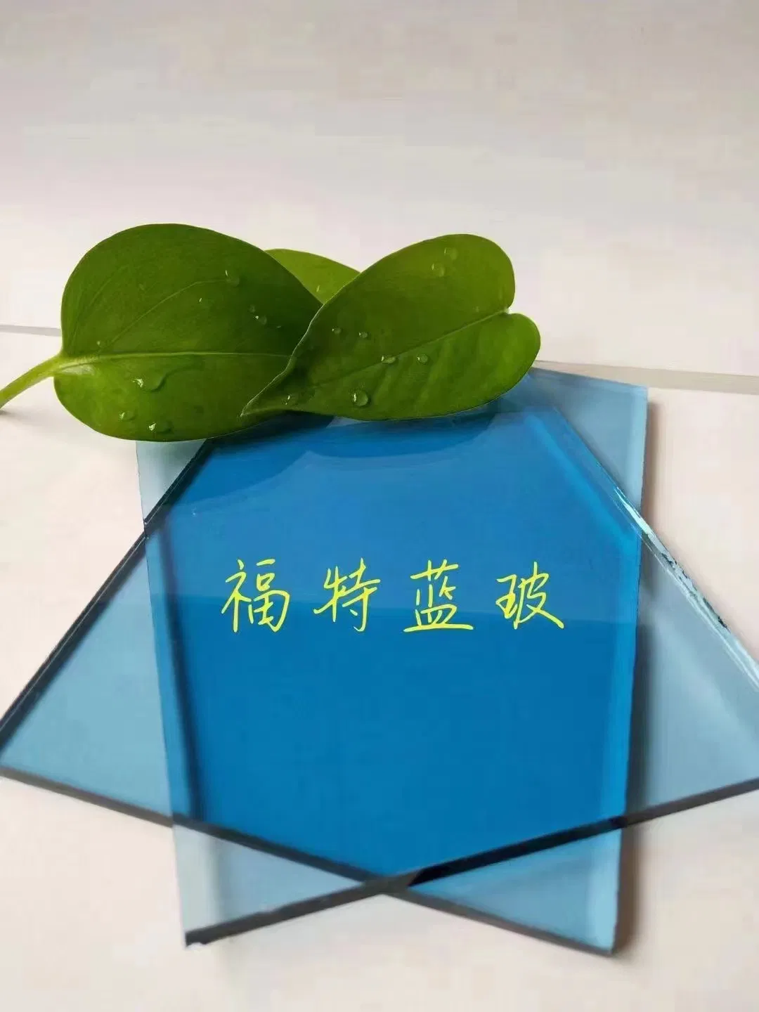 Tinted Glass Professional Colored Coated Glass
