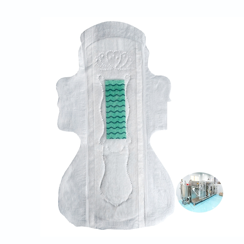 Gentle and Absorbent Sanitary Napkins for Daily Use