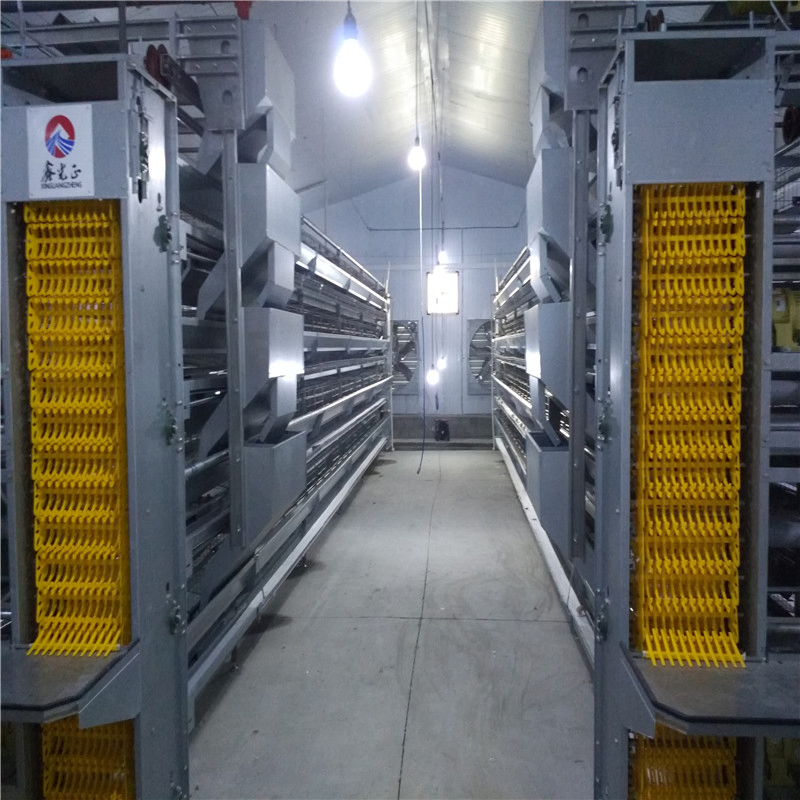 Low Cost Factory Customized Semi-Automatic Modern Steel Egg Chicken Shed