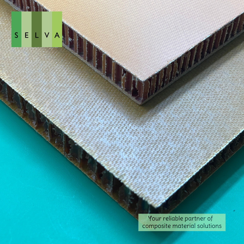 Lightweight Aramid Honeycomb Panels for High-Speed Train Design