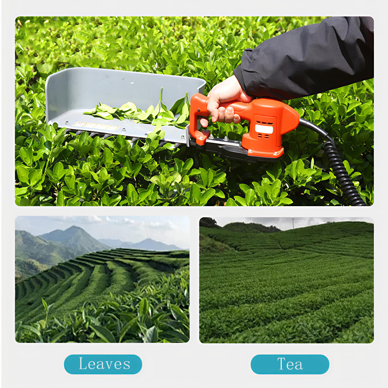 Backpack Battery Electric Hedge Trimmer for Garden and Power Tools