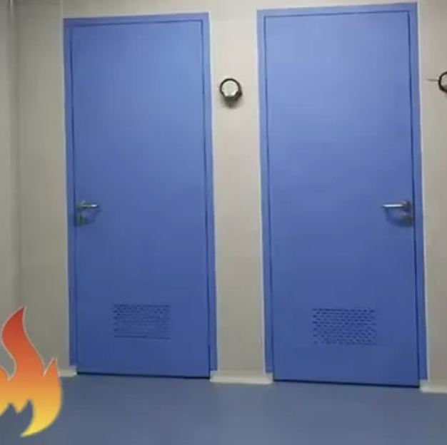 Premium Residential Fire Steel Door with 30-120 Minute Protection