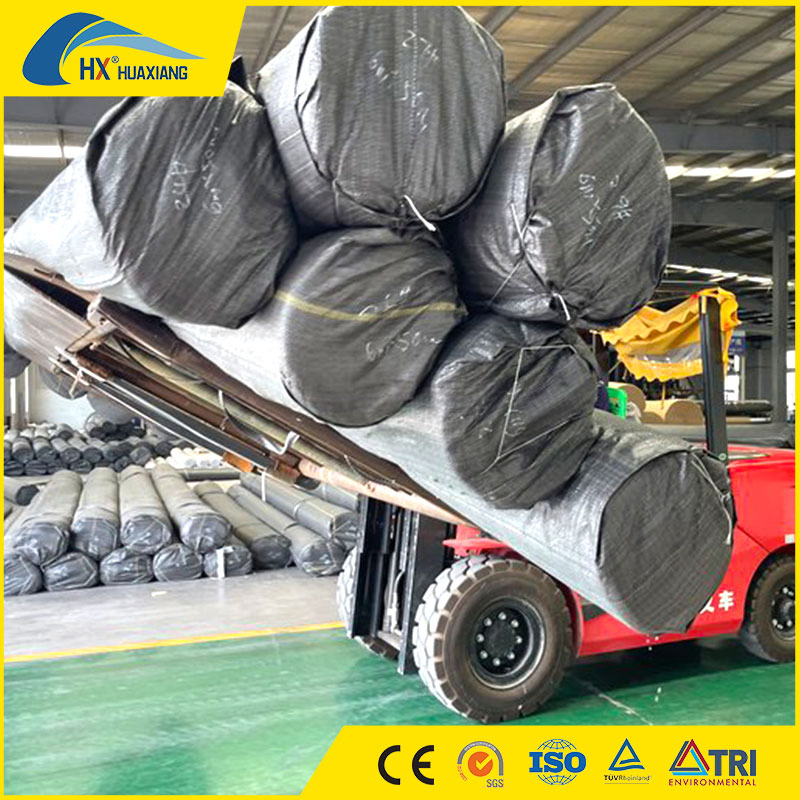 Pet Polyester Filament/Long Fiber Non Woven Geotextile Manufacturer for Filtration