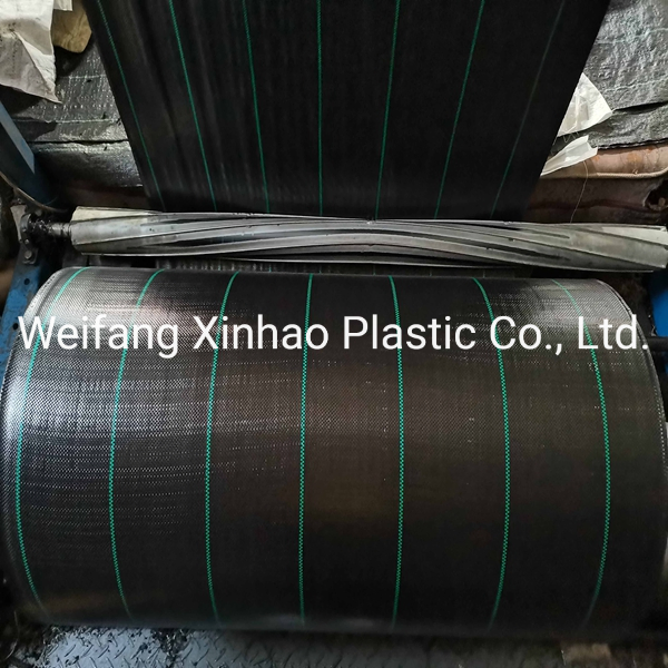 Manufacturers Selling Black PP Weed Control Cloth