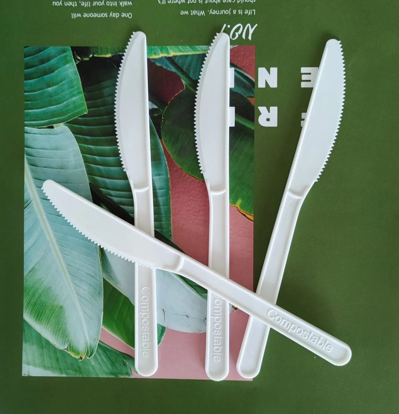 Wholesale Individual Packaging Compostable Cpla Cutlery Spoon Fork Knife Utensils
