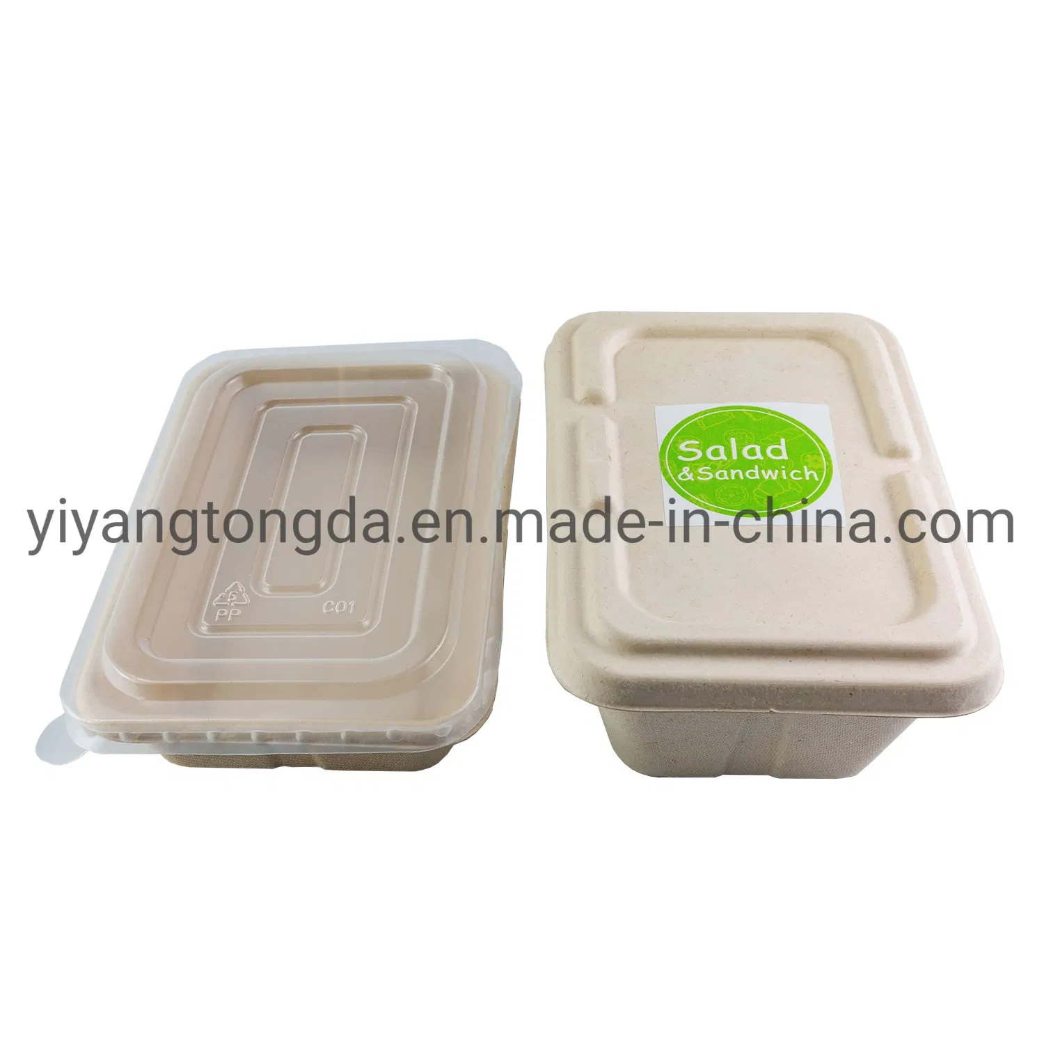 Retangular Disposable Surgance Pulp Food Container Biodegradable Container