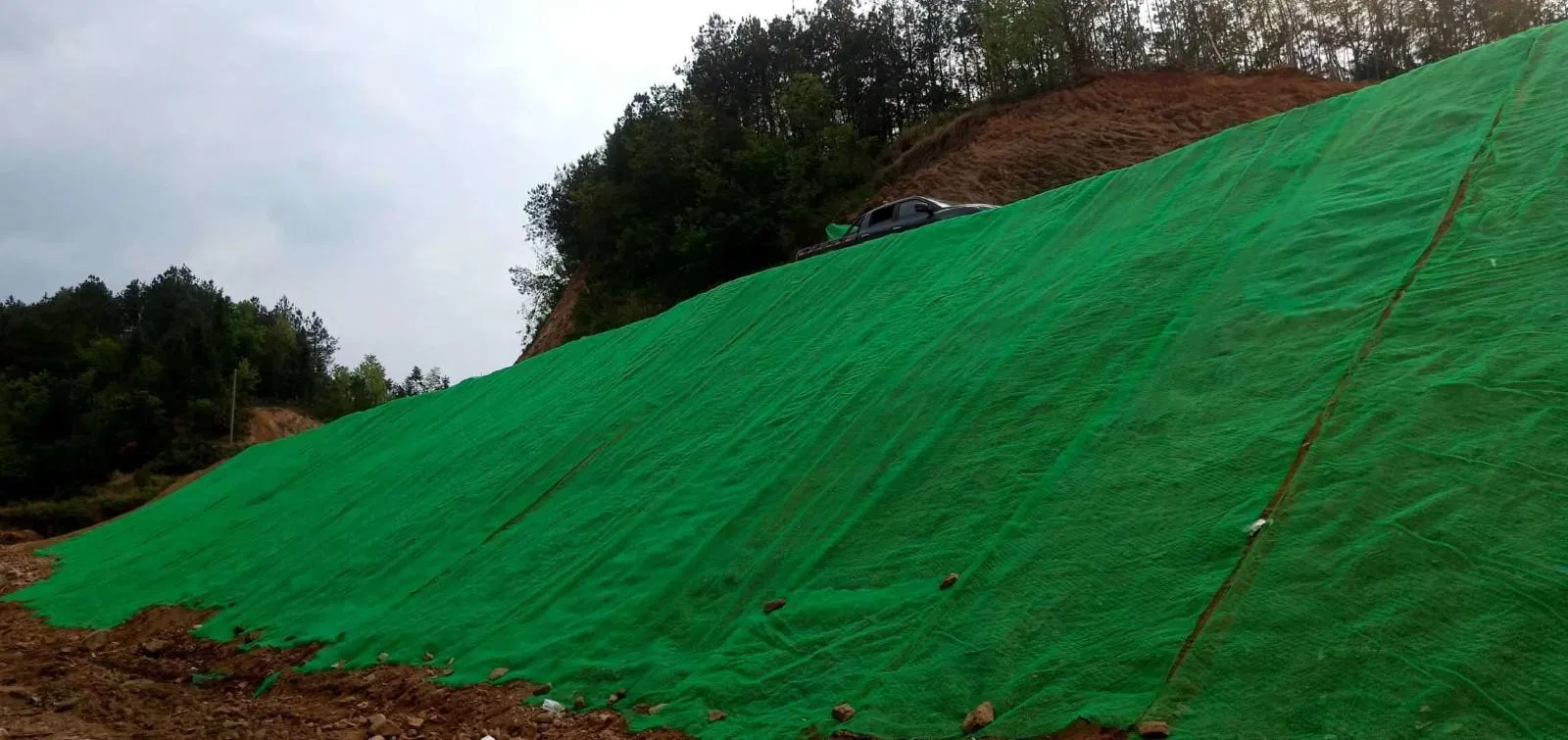 Lightweight Vegetation Net Breathable for Rooftop Garden Greening Plant Protection Custom Length