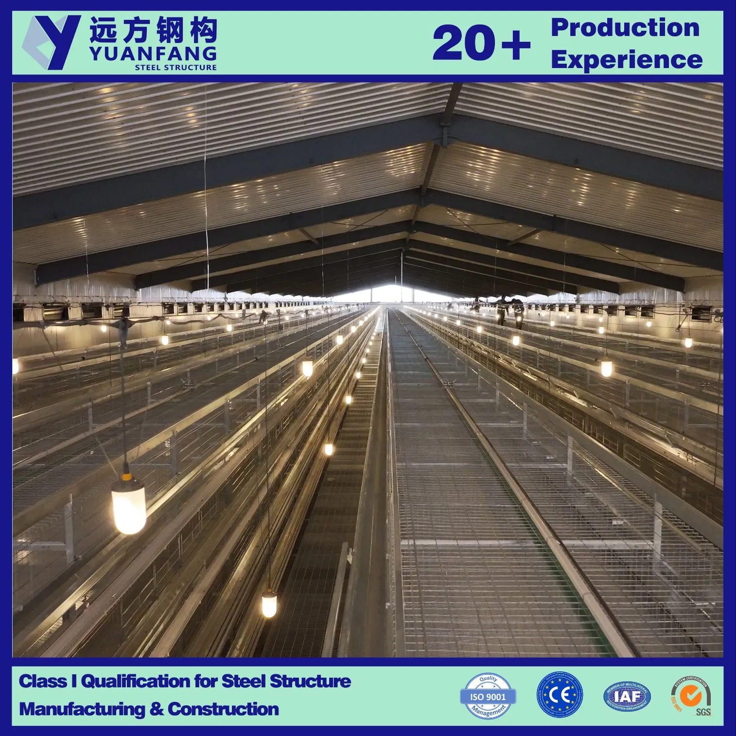 Good Quaity Prefabricated Galvanized Layer Heavy Steel Structure Chicken Coop Poultry House Fabricado En China