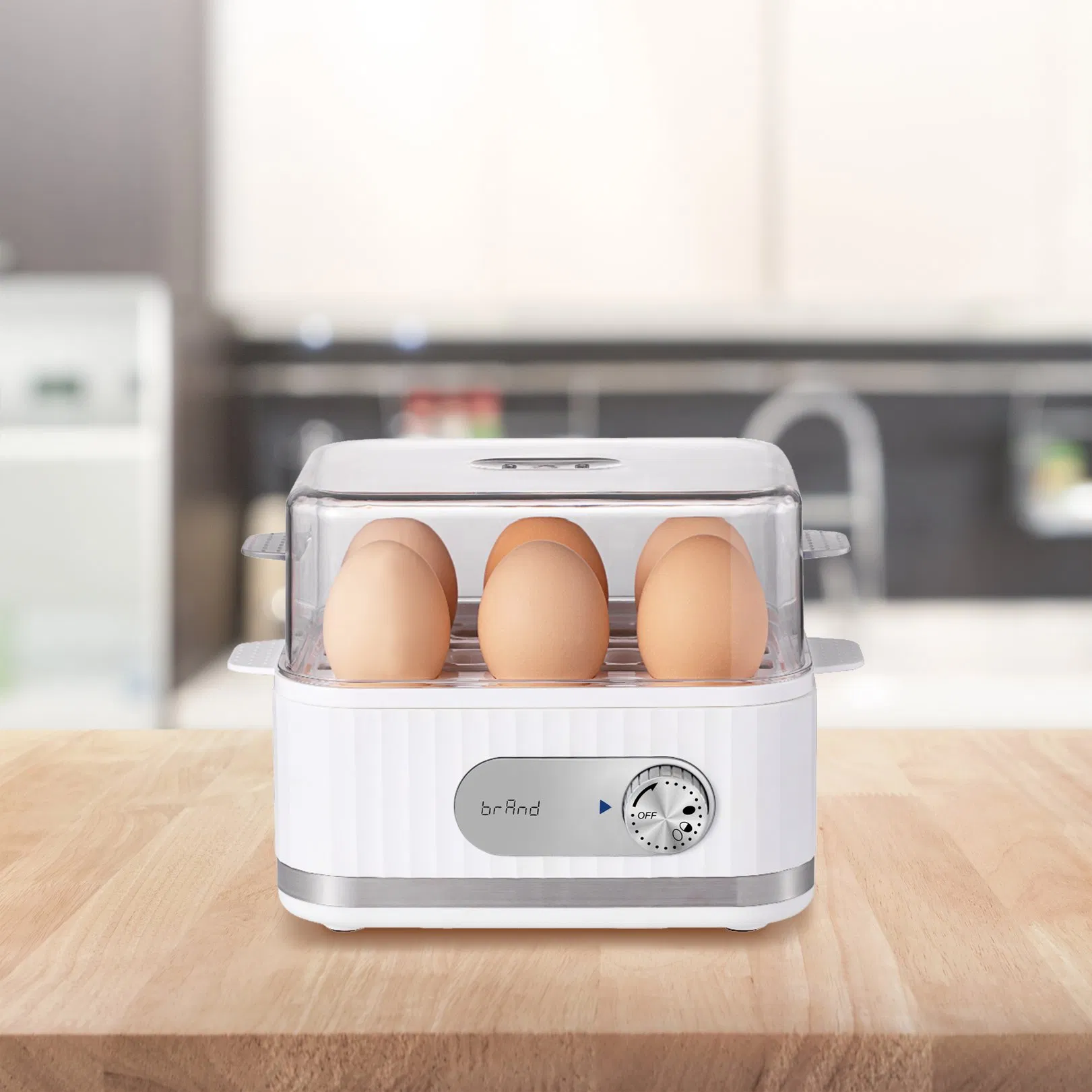 6-Egg Electric Egg Cooker with Timer for Perfect Boiled Eggs