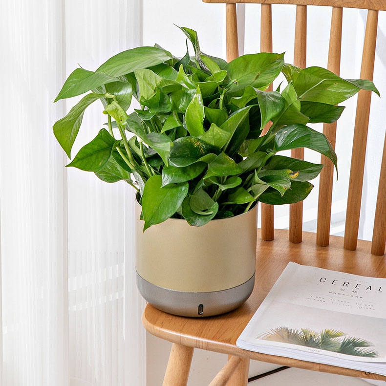 Горшок гидропонный автоматический для растений