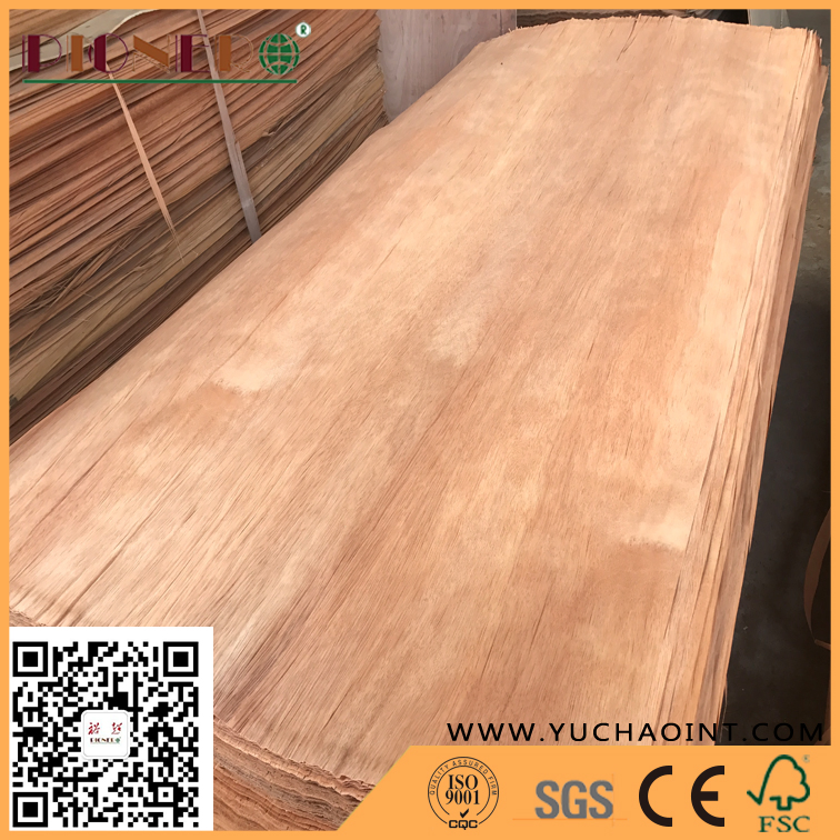4X7 Feet Natural Plb Veneer in A Grade