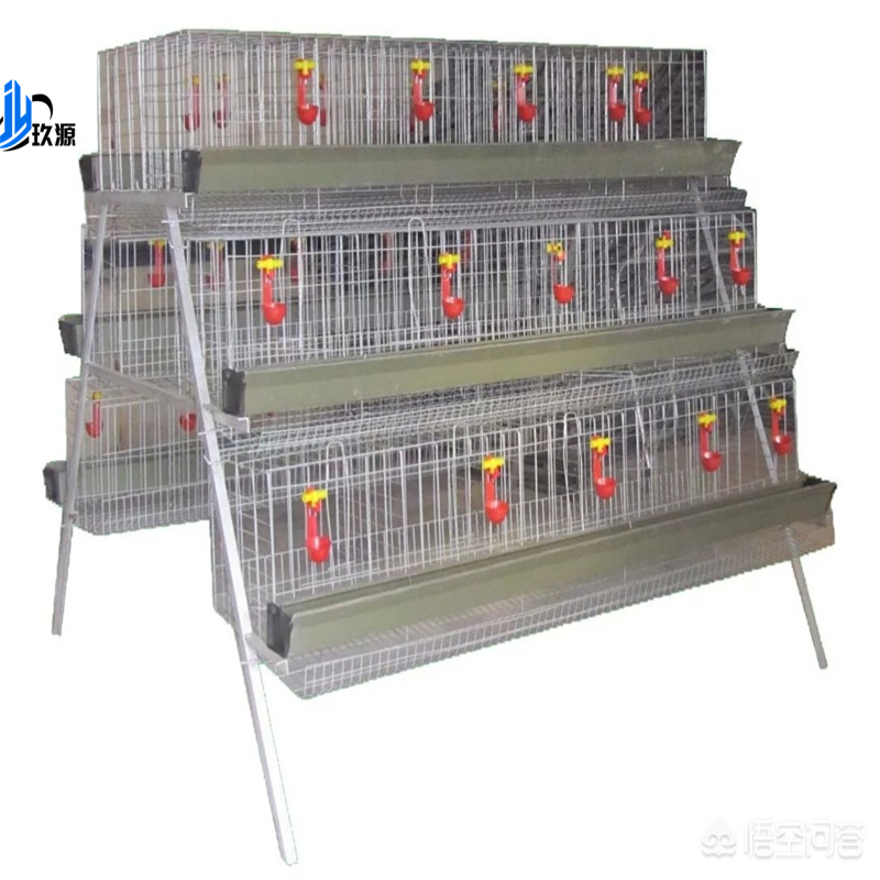 Steel Structure Poultry Farm, Modular Laying Hen House, Hen House Facilities