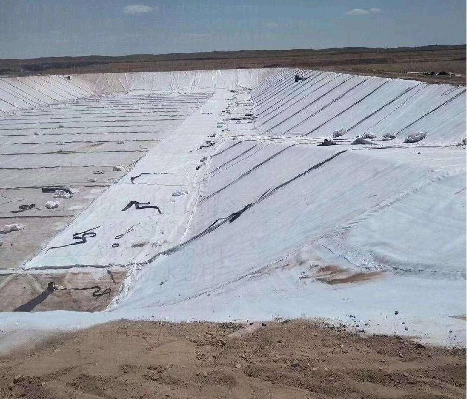 1mm 12 mm EPDM Waterproofing Membrane Geomembrane Dam Landfill Lake Biogas Mining Fish Shrimp Farm Pond Liner Swimming Pool Agricultural Agriculture