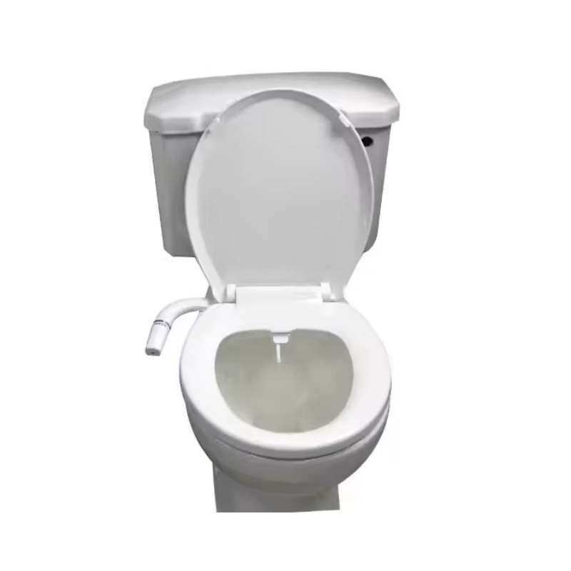 Best Toilet with Bidet Seat Installation Service Not Need The Plumber