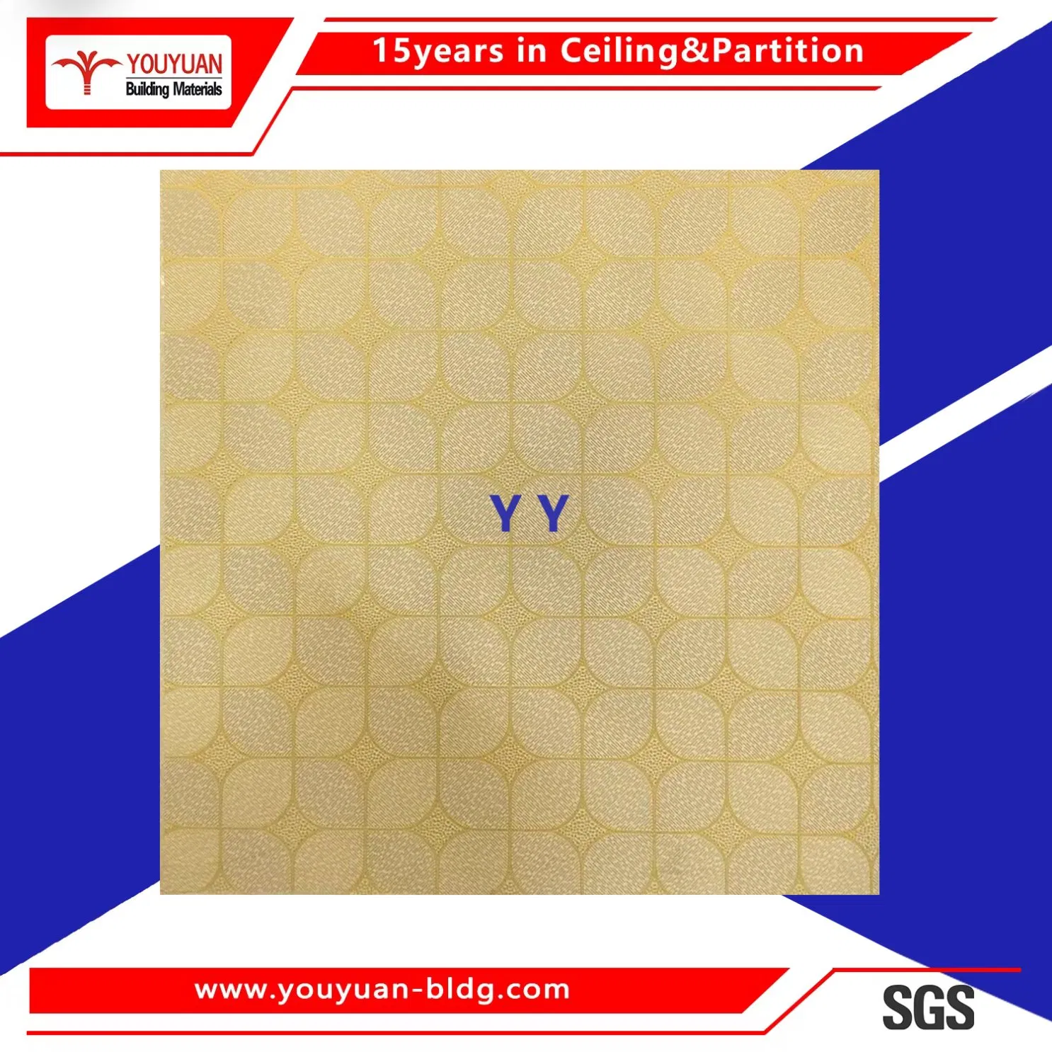 Construction Decoration Products New Building Materials for Ceiling